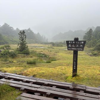 花之江河。九州とは思えない高層湿原