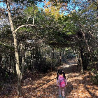さて、雄岳まで行けるか⁉️