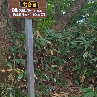 灯台コースに合流