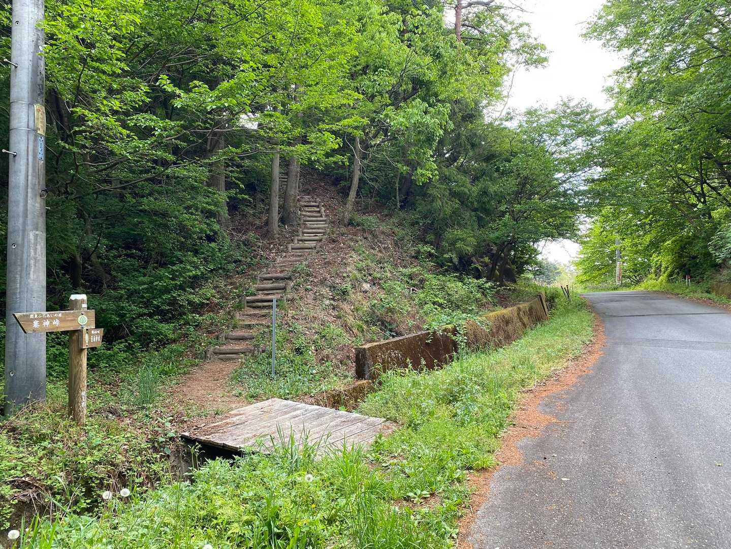 釜伏峠-登谷山-茱萸ﾉ木峠-皇鈴山 往復コースの写真