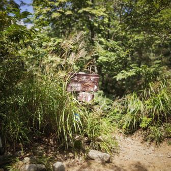金糞峠。何度も登ってると仰ってたベテランの方から「ここまでが一番しんどい」との事。ホンマにそうでした