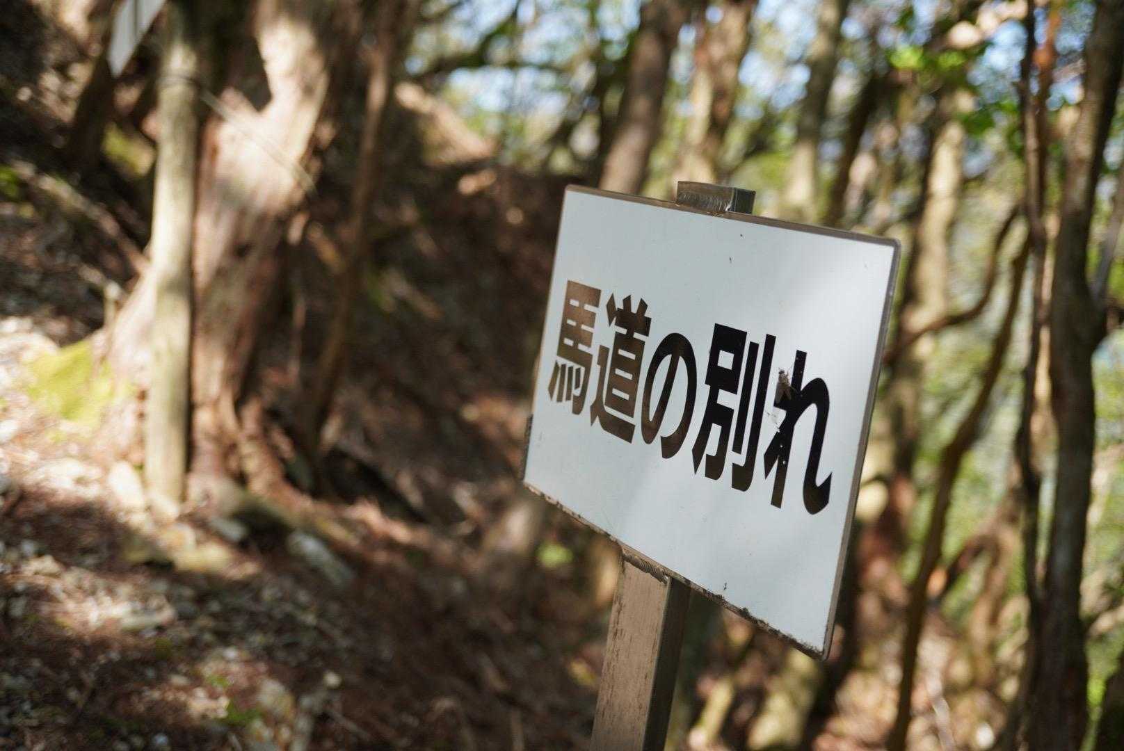 大永山トンネル口-大坂屋敷越-獅子舞の鼻 往復コースの写真