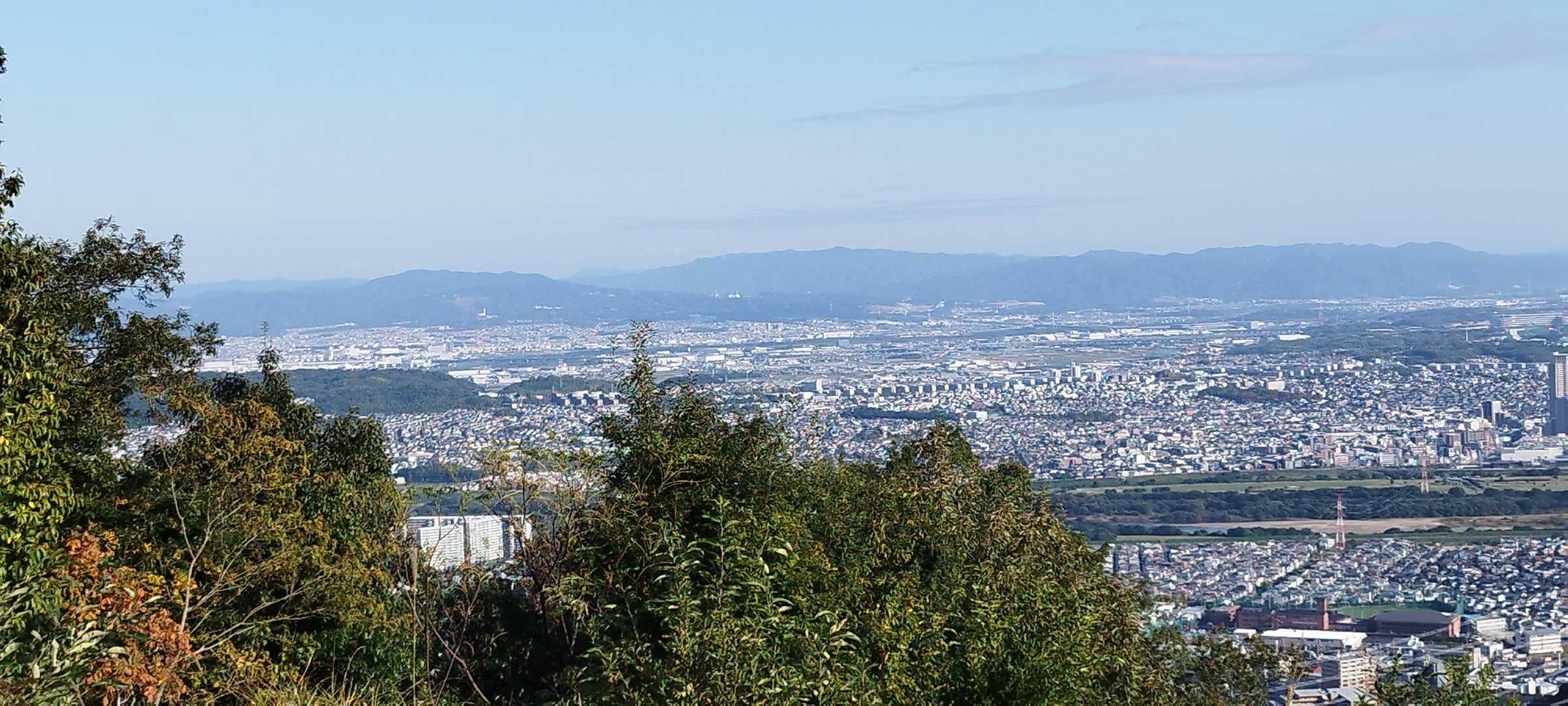 若山 往復コースの写真