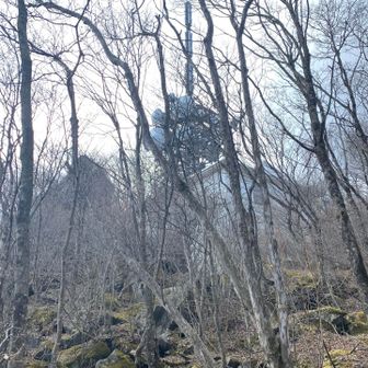 あれが山頂。あと一息。