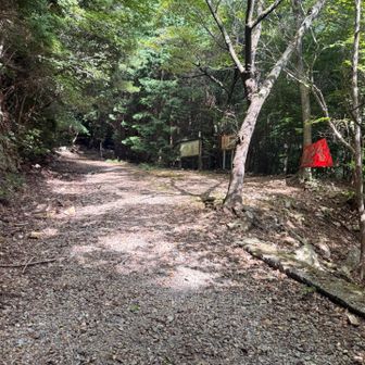 合流！
そのまま滝上流を超えて登山口へ！