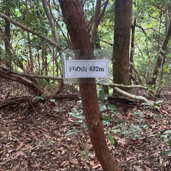 味わい深い山々でしたが、山としてはココが1番真価の問われる山でした。あと数山に関しては登山道が無い前提で行かれると覚悟が楽です。