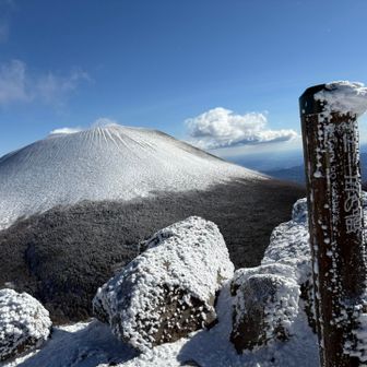 トーミの頭⛰️