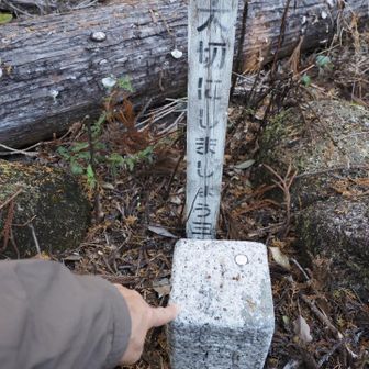 四等？三角点あった👆🏻