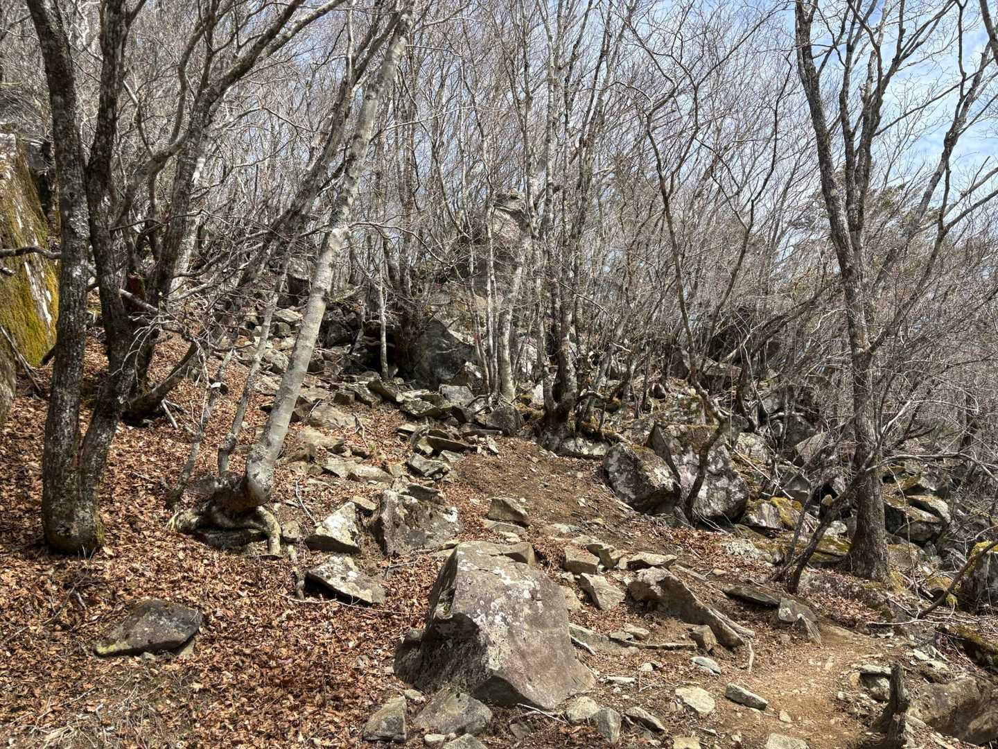 毛無山登山口駐車場～毛無山・大見岳・タカデッキ・雨ヶ岳縦走～A沢貯水池の写真