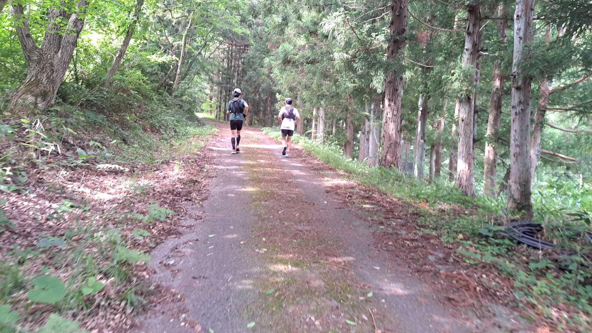 闇川登山口-大戸岳 往復コースの写真