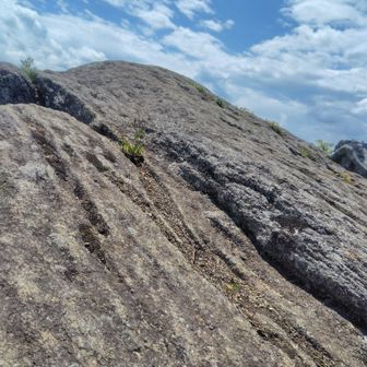 鎌倉岳山頂(967m)🪨
・露岩が目立つ
・日本百低山の一つ