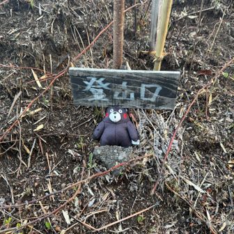 くまモンは最初からいました