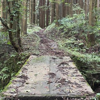 わたしゃ周回