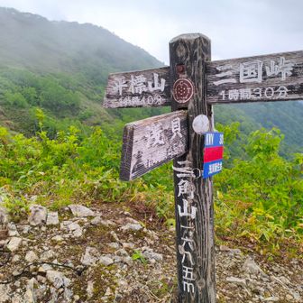 三角山です。益々降って来ました。ここ迄樹林帯が半分位。帰りは雨風しのげて助かった。
三国峠の方へ縦走する方はヤマビルいるから注意して下さい⚠