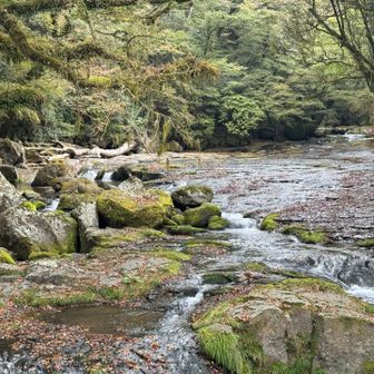 岩コロは飛び石で歩く