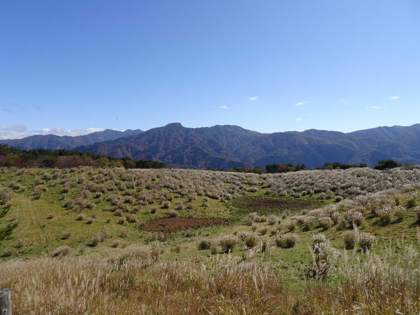 腕山 もふもふ腕山牧場 / nyarooの登山データ | YAMAP / ヤマップ
