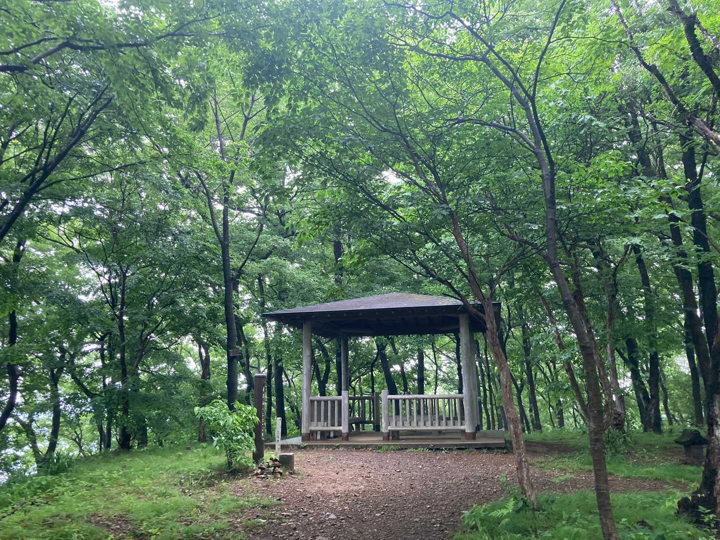 唐沢山⛰登頂