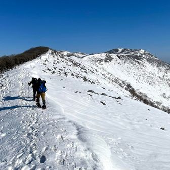 急登を登り切って西南尾根に出た！