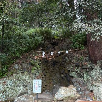 昨日は殆ど雨が降らなかったのか、清滝は涸れたまま。