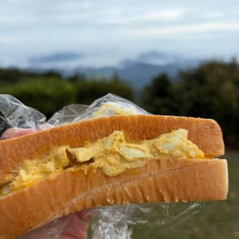 定番のタマゴサンド