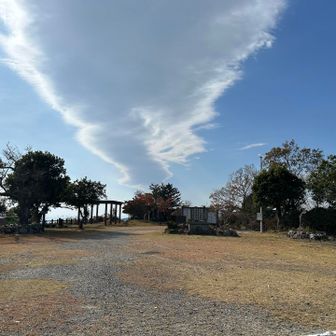 広場に下りて来たよ😃