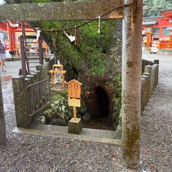 雨なので中には入らず。