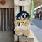 ぼん