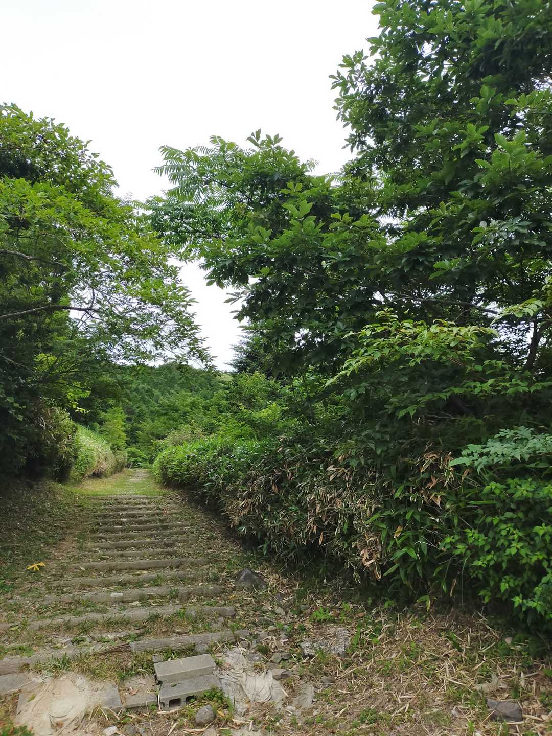 登山口はまるで公園みたい