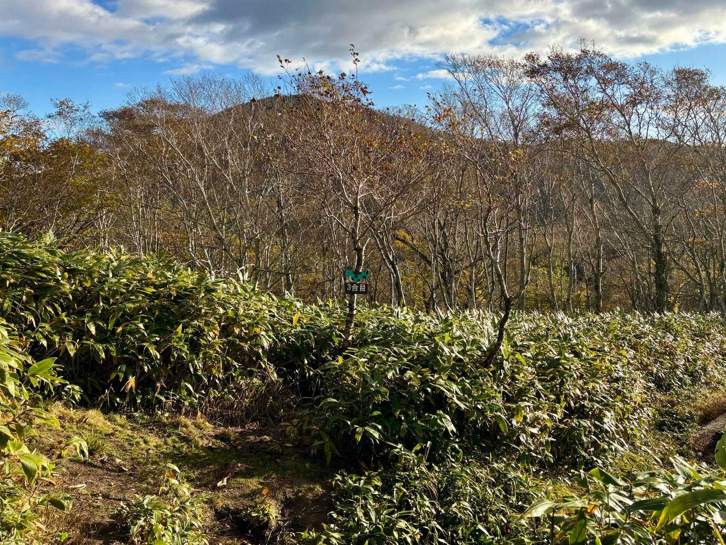 イチャンコッペ山 往復コース | 支笏湖が最も美しく見える展望台への写真