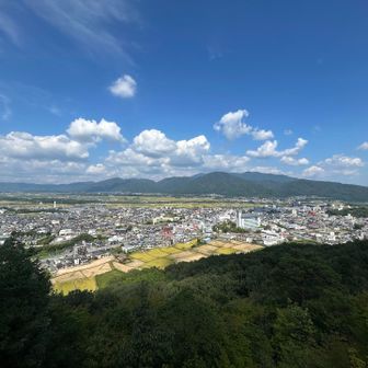 意外とパノラマ風景が見れますね。