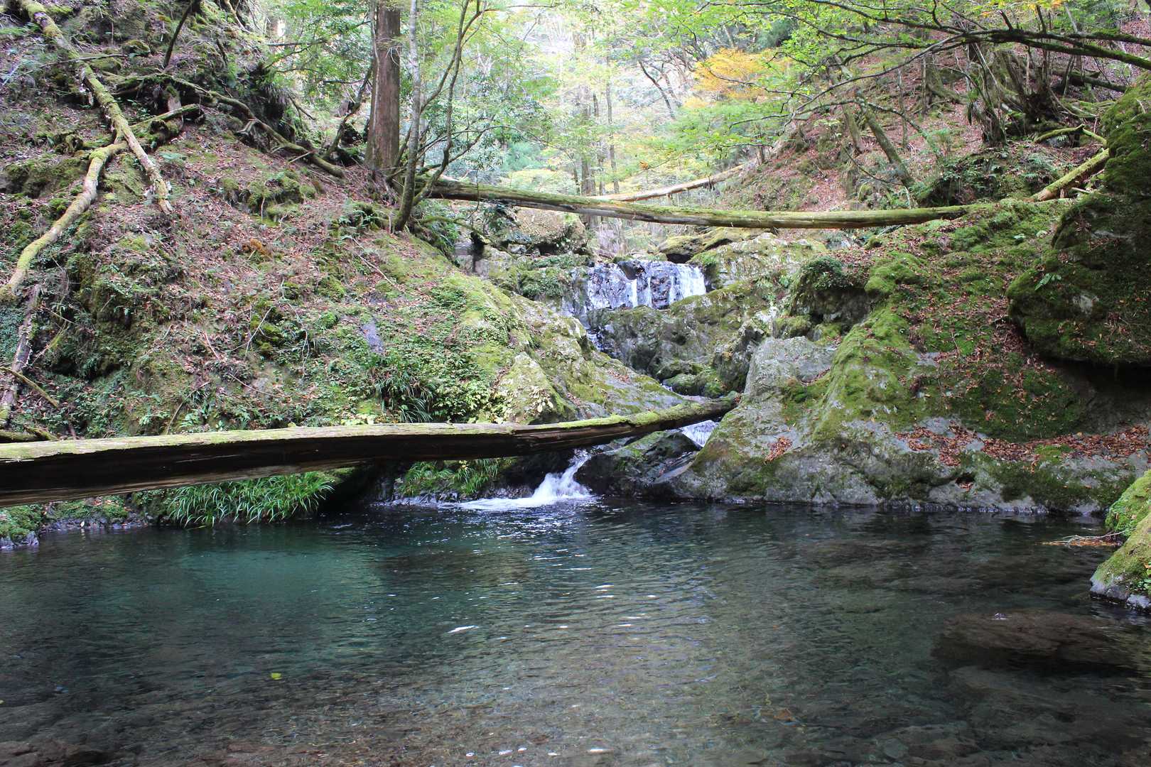 ニノ滝を越えると、しばらくは小滝や大きな釜を見ながら穏やかな渓相が続きます。