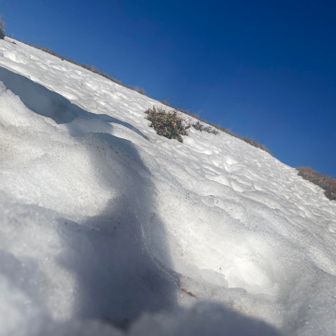 らしくてpart2🤣