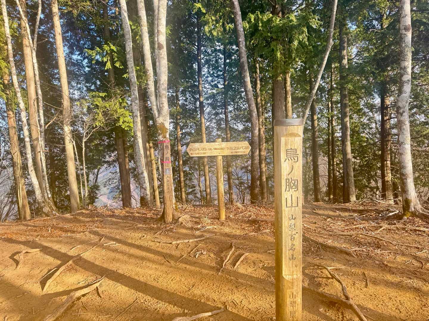 急登を登って、鳥ノ胸山に到着！