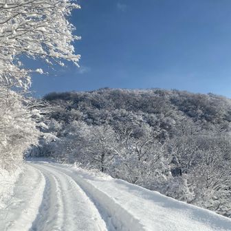 西尾平で知人に遭遇しました。鳶岩に行くそう😳