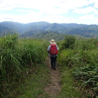 西登山道