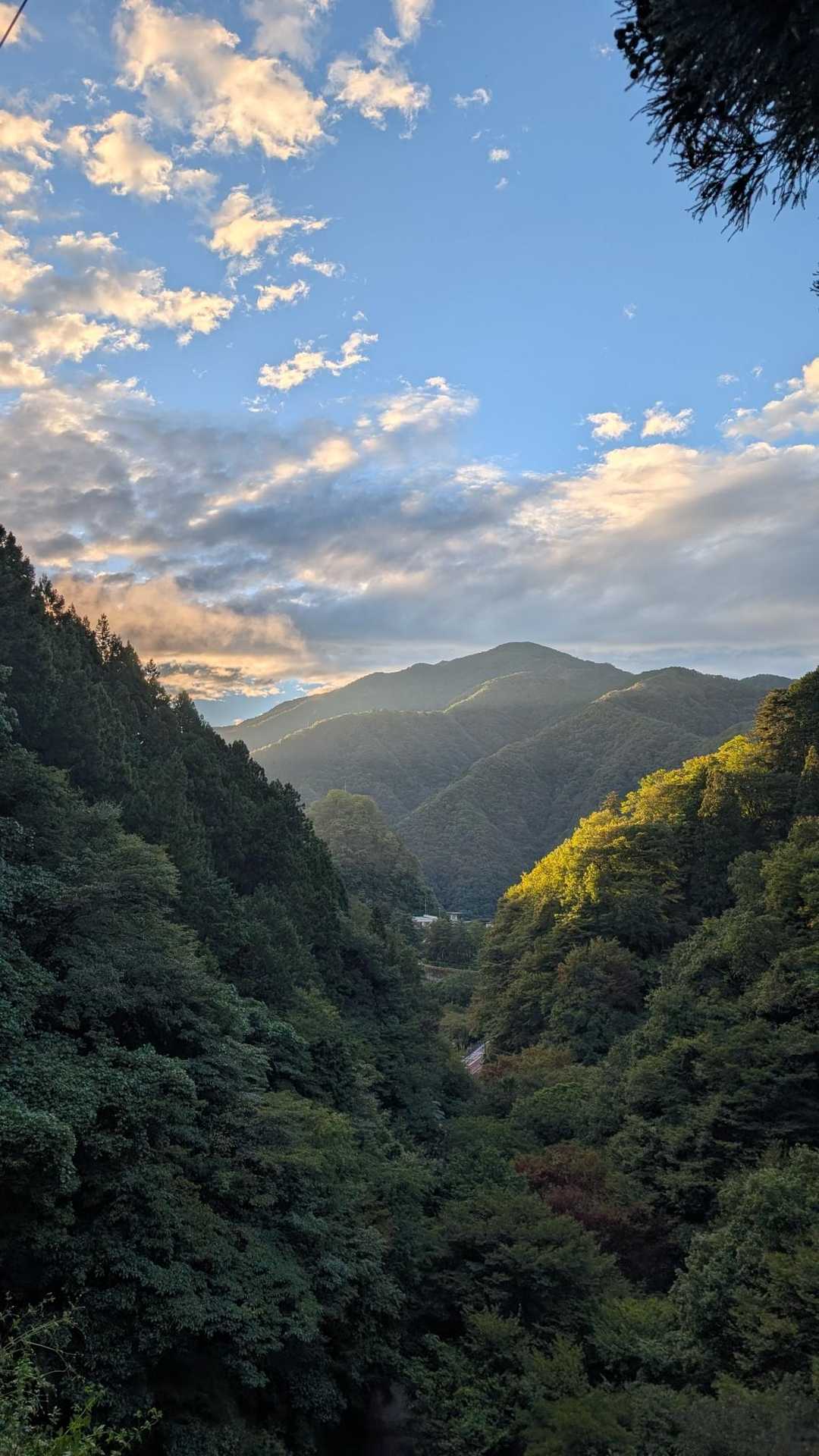 長尾ノ頭-六ツ石山 往復コースの写真