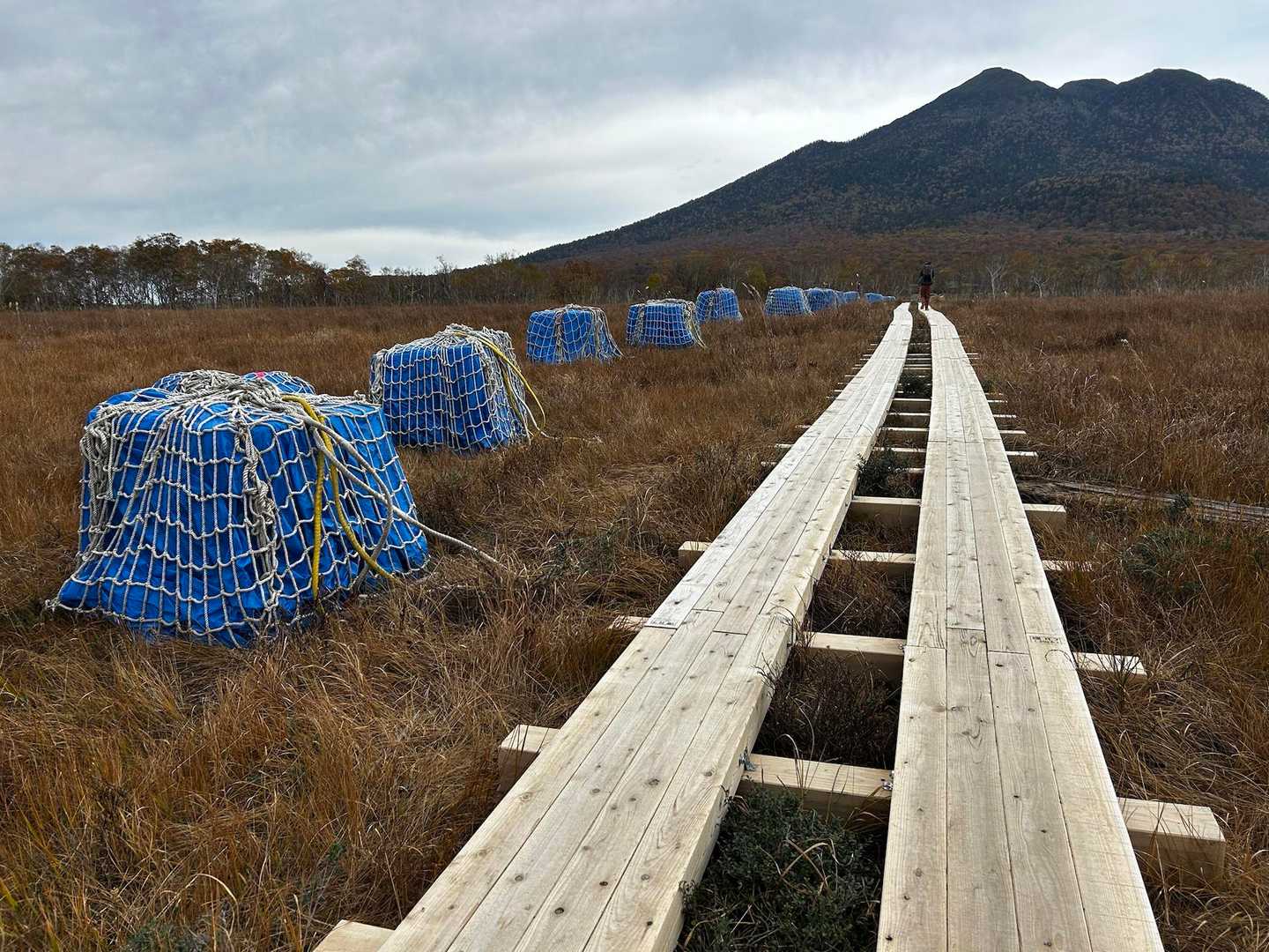 竜宮から見晴に向かう木道が、新品ピカピカに✨
10m作るのに20万円かかるとのこと。