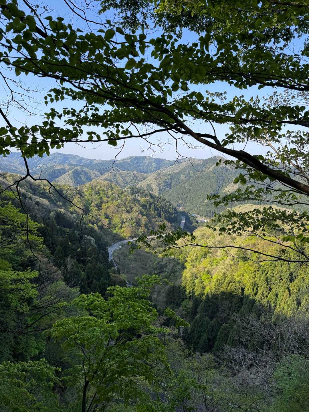 GWらしい新緑の景色
