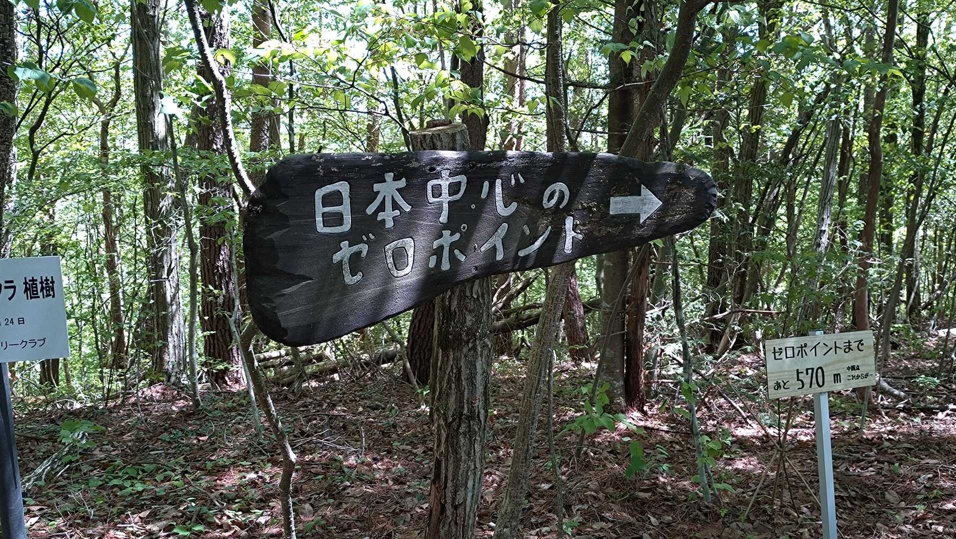 登山道のあちこちで『推し』なので、行ってみました😁
