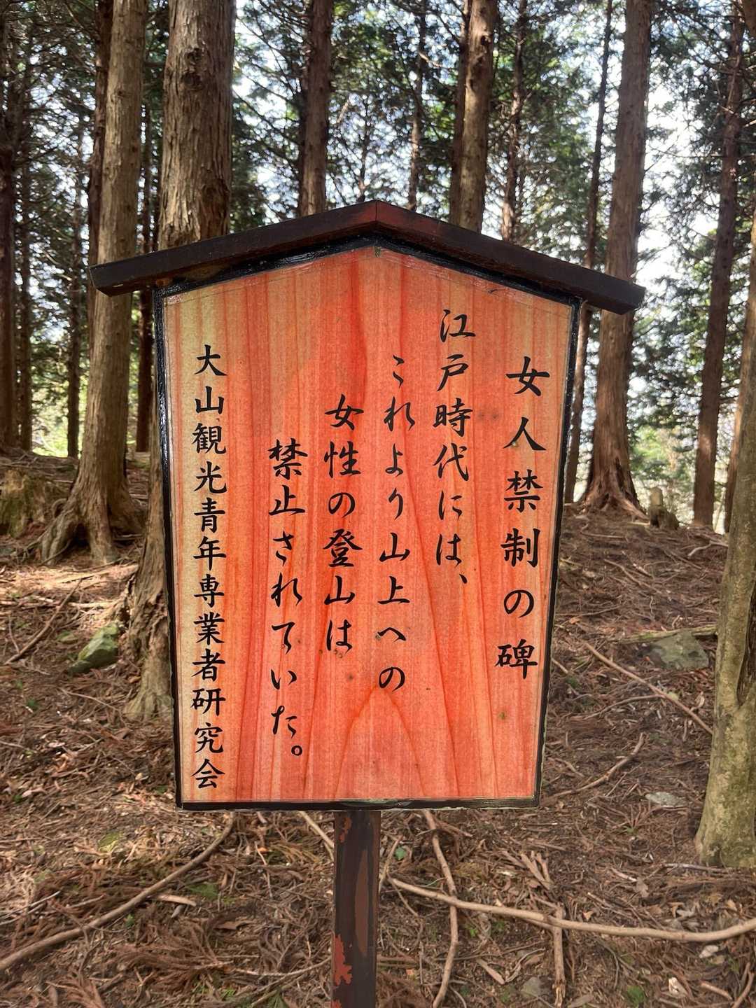 蓑毛バス停-大山-ヤビツ峠 周回コースの写真