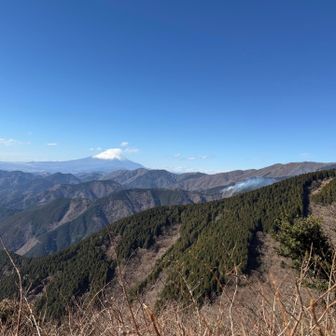ここで初めて山火事を知りました！