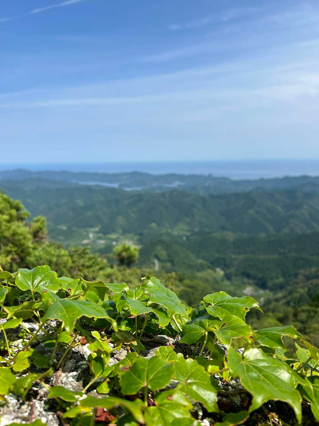 見れると思わなかった