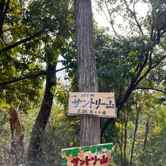 サントリー山⛰️