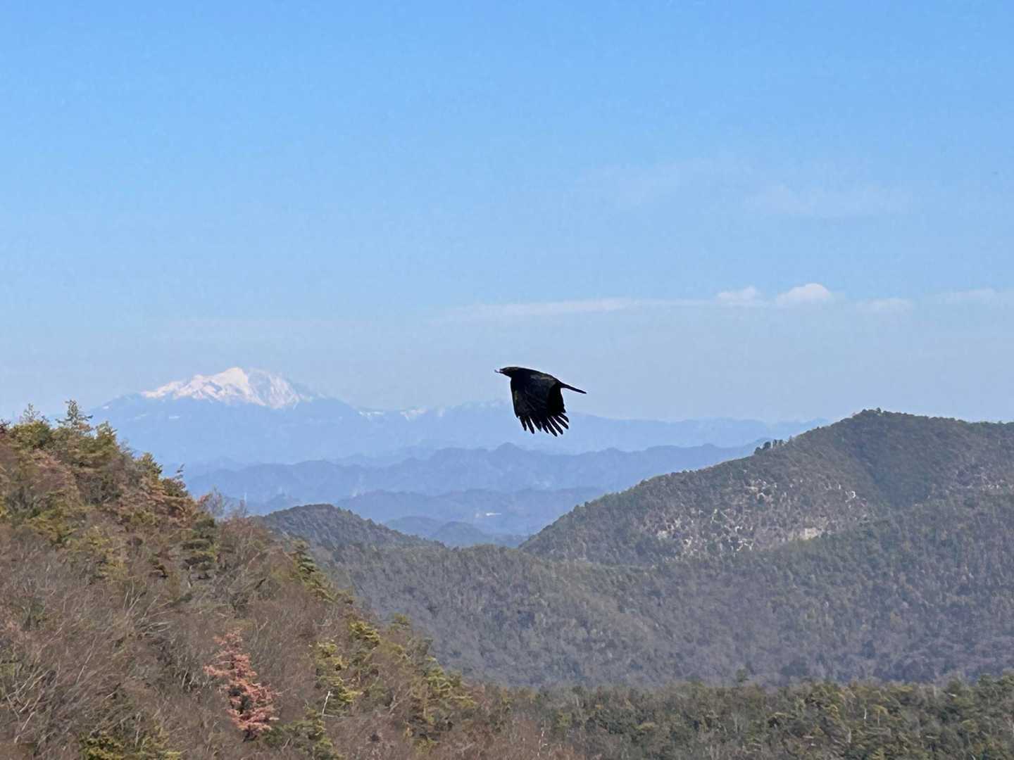 御嶽山とカラス🐦‍⬛