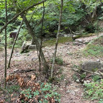 猫谷コースと合流しました