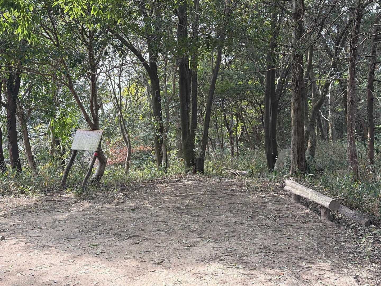 武田山 往復コースの写真
