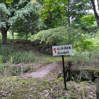 割とすんなり行きます♪
ほうほう案内板も有って安心な道かな？
絶対違うと思うな🤭