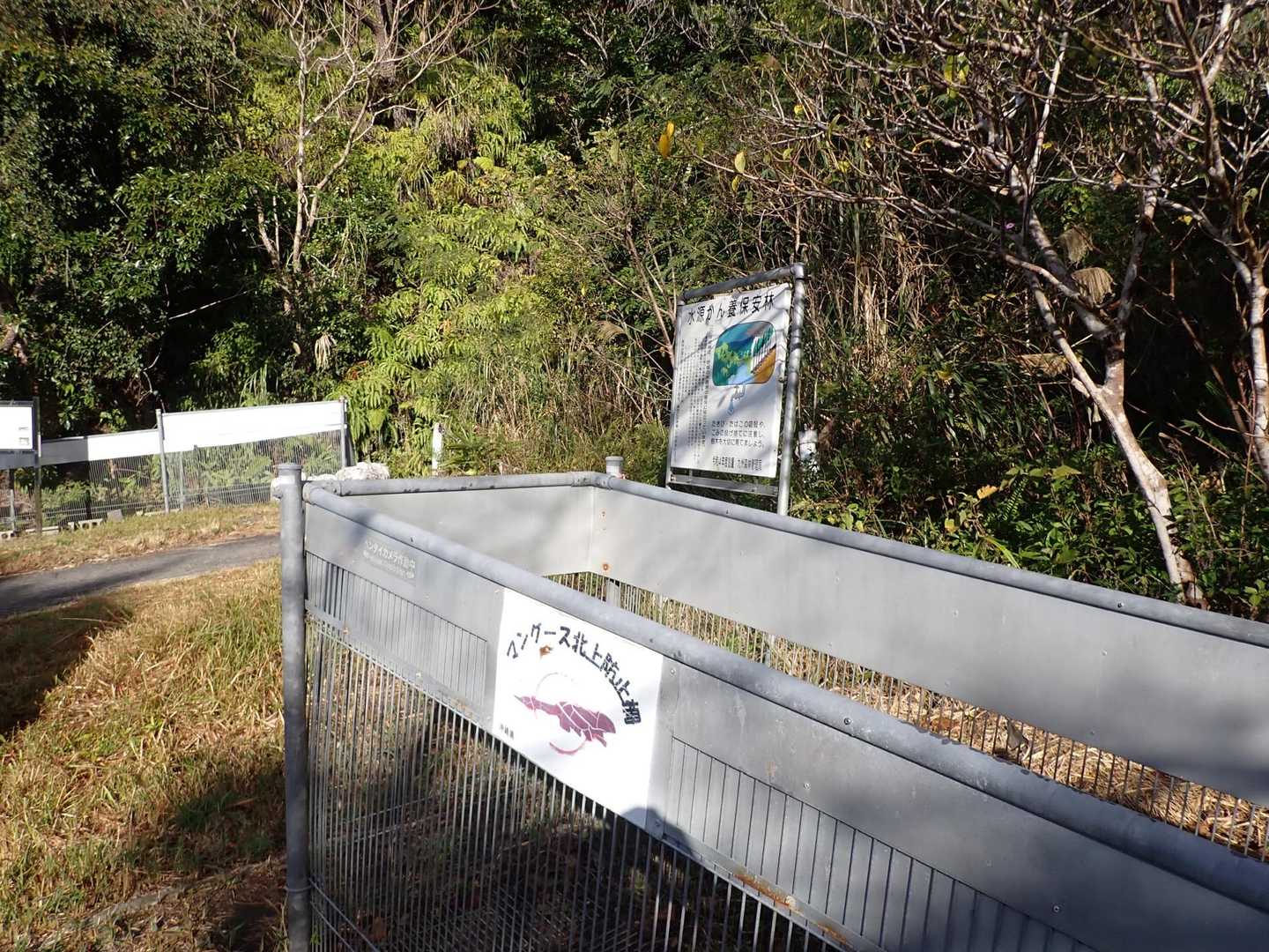 東村のつつじエコパークを少し過ぎた林道の脇の登山口から🌸探しの初登りスターティン‼️

一帯にはマングースの北上を防ぐ北上防止柵
ヤンバルクイナやトゲネズミなどの希少動物の保護のため張り巡らされている
