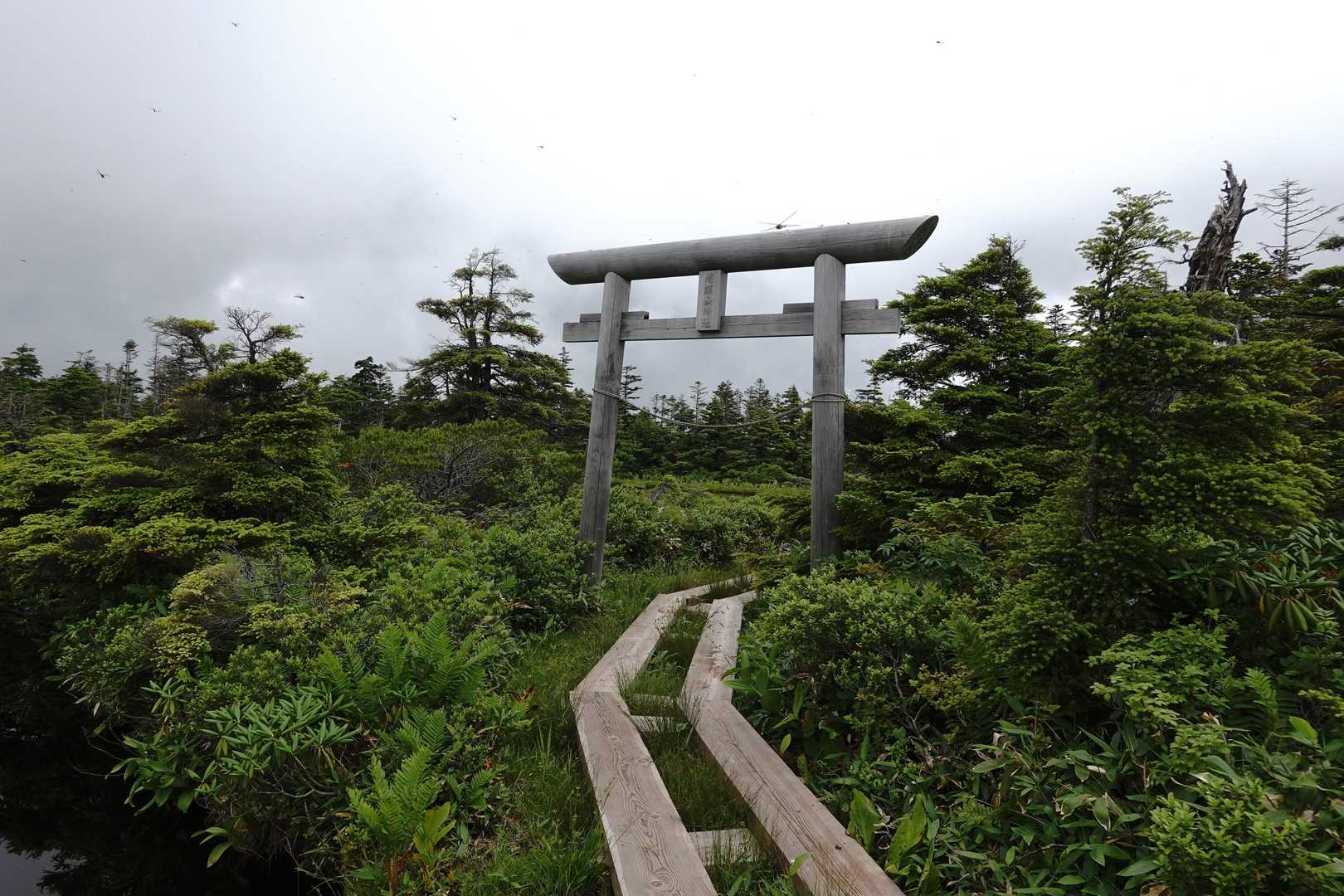 焼額山神社の鳥居