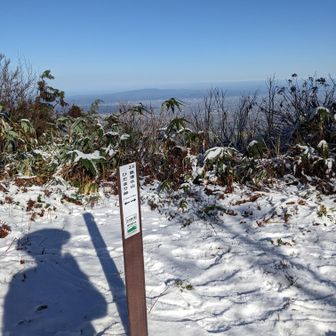 帰りに寄ったお月様の頭